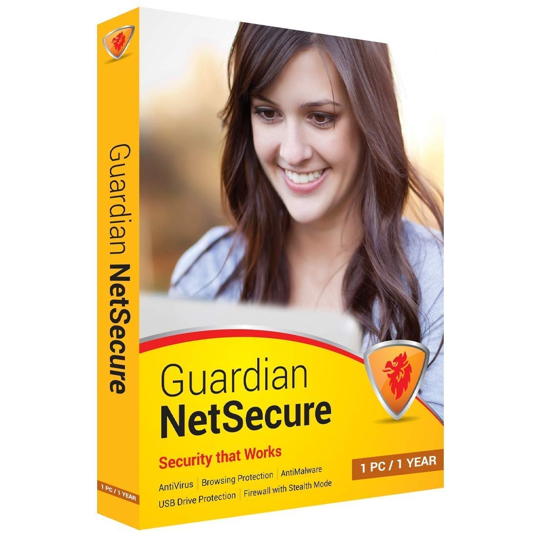 Version 1.0.0 Guardian NetSecure 1 User 1 Year Email Delivery - Image 1